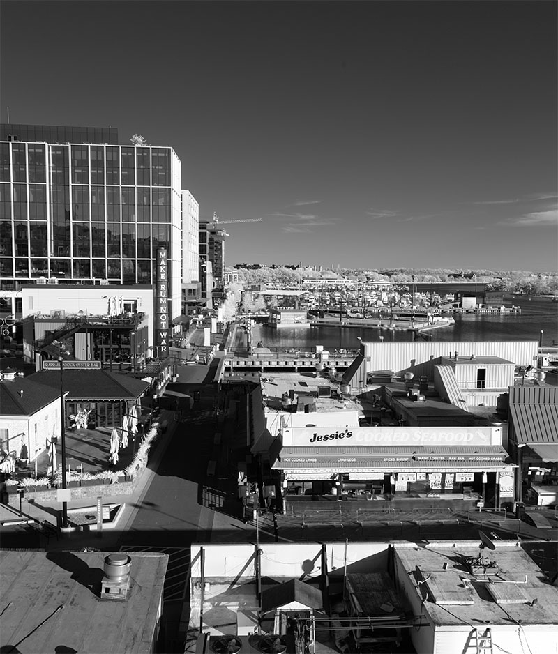 Vertical Infrared Shot of Modern Waterfront Development
